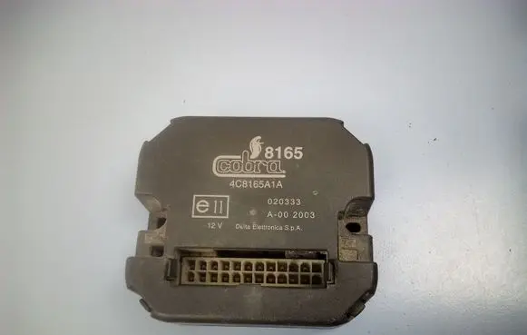 Mitsubishi Pajero Other control units/modules 4C8165A1A 020333