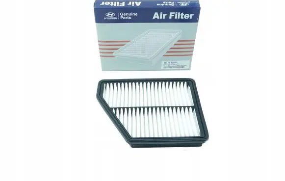 Hyundai Matrix Air filter 28113-17500