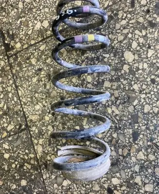 Rear coil spring