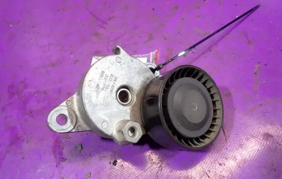 Peugeot Boxer Timing belt/chain tensioner