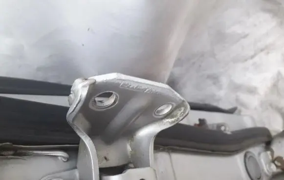 Hyundai Sonata Rear door lower hinge