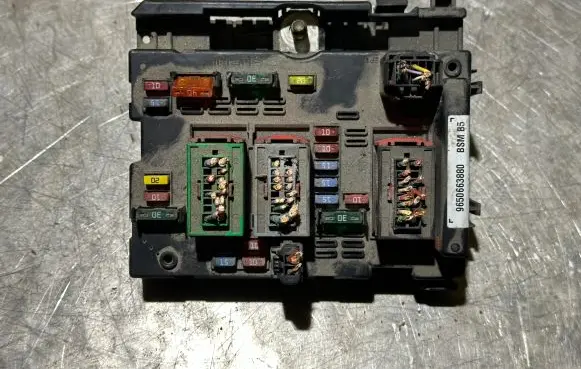 Peugeot 307 Fuse module 9650663880