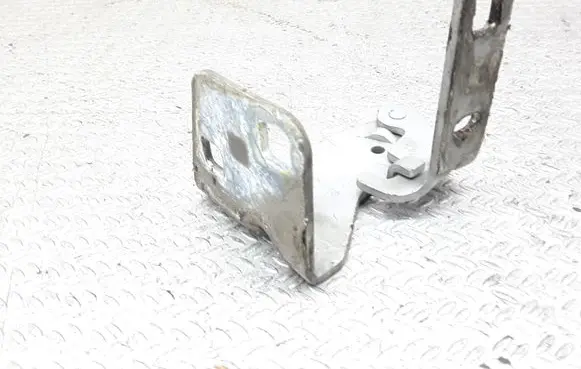 Renault Trafic II (X83) Engine bonnet/hood hinges 312082 65676