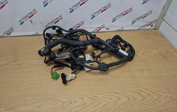 Engine installation wiring loom
