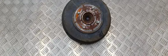 Ford Ecosport Drum brake (rear) CN152209AA 7003A1 04022170