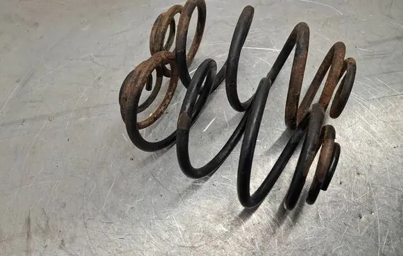 Opel Astra H Rear coil spring 