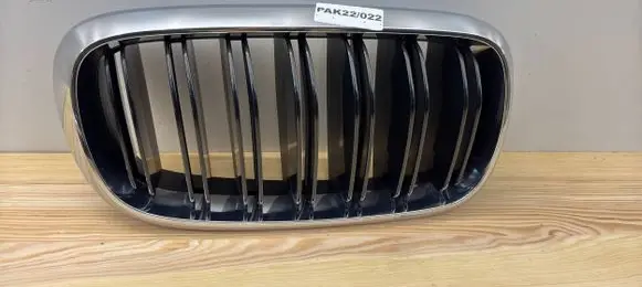 BMW X6 F16 Front grill 50700449