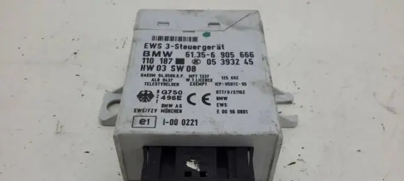 BMW 5 E39 Immobilizer control unit/module 61356905666 05393245 110187