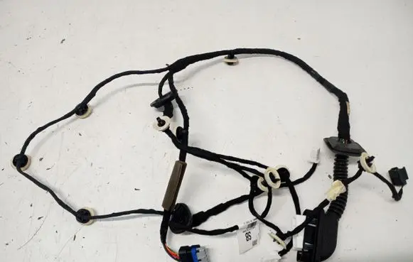 Rear door wiring loom