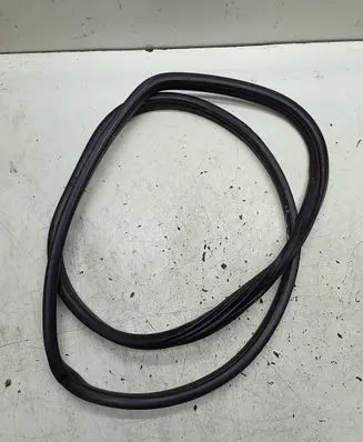 BMW X6 E71 Rubber seal rear door 