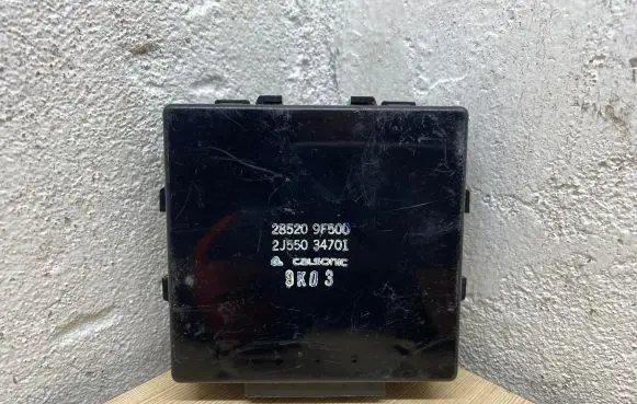 Nissan Primera Other control units/modules 285209F500 2J55034701 9K03