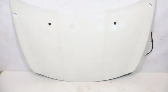 Engine bonnet/hood
