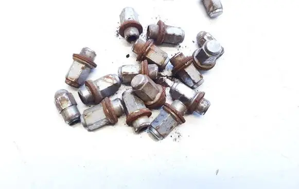 Ford Fiesta Nuts/bolts 