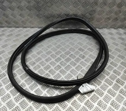 Citroen C3 Rubber seal front coupe door 9813059580
