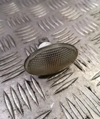 Front fender indicator light