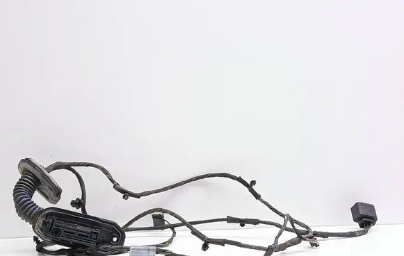 BMW 5 F10 F11 Rear door wiring loom 9240897