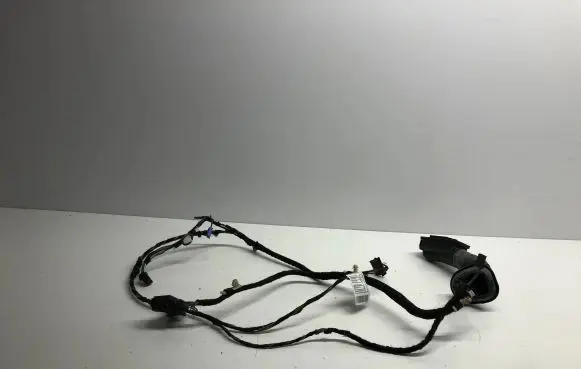 BMW 1 F20 F21 Front door wiring loom 9291964