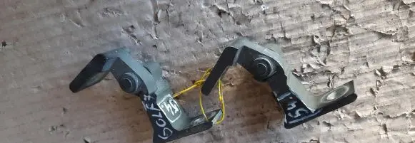 Rear door hinge set