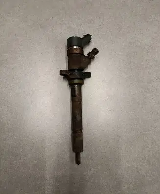 Peugeot Partner Fuel injector 0445110259