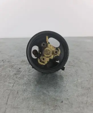 Volkswagen Touareg I Power steering pump 07D145256E