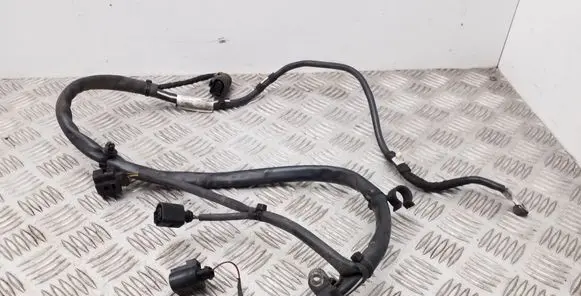 Volkswagen Tiguan Wires (generator/alternator) 5N0971349H