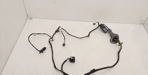 BMW 1 F20 F21 Rear door wiring loom 9286187 19344411
