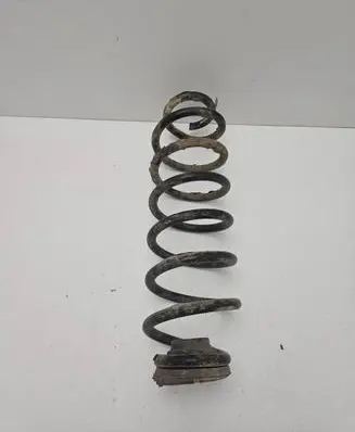Skoda Roomster (5J) Rear coil spring