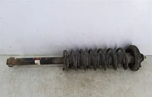 Honda Accord Rear shock absorber with coil spring 