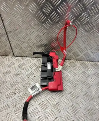 Renault Trafic III (X82) Other wiring loom DORENAULTTRAFICIV4