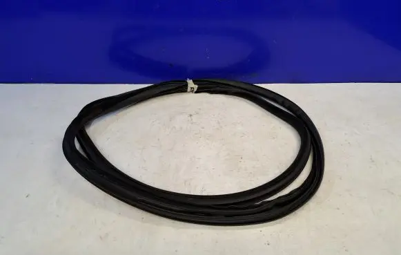 Volvo S80 Rubber seal front coupe door 31278771