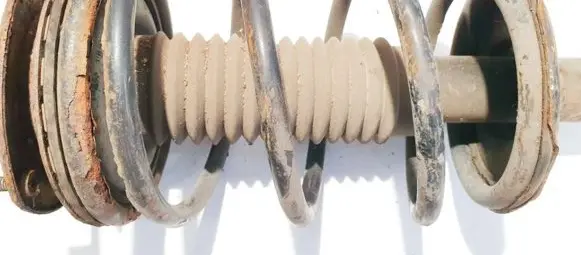 Front coil spring