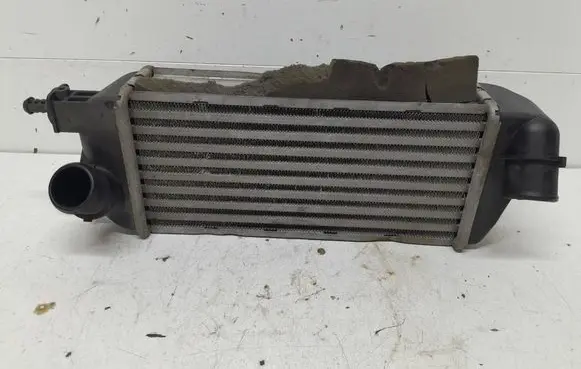 Fiat Panda II Intercooler radiator 1631221653 878353000