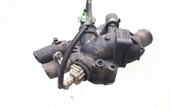 Thermostat/thermostat housing