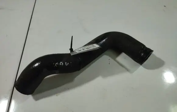 Nissan Almera Tino Air intake hose/pipe 