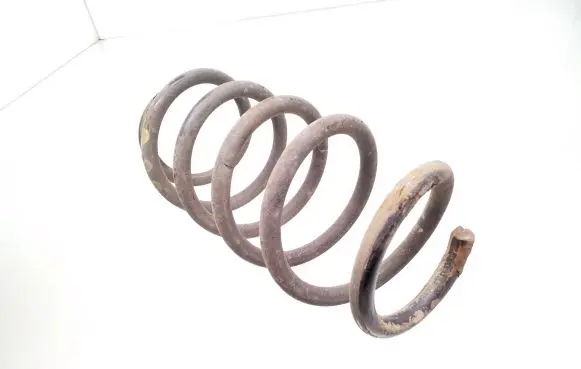 Rear coil spring