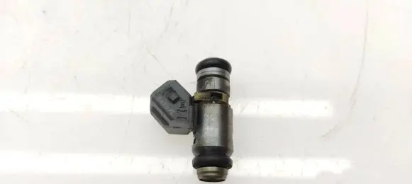 Renault Scenic I Fuel injector 048H104274