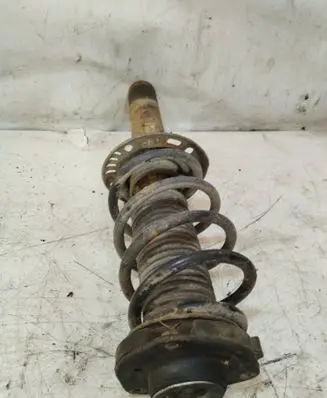 Skoda Octavia Mk2 (1Z) Front shock absorber/damper 1T0413031