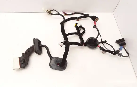 Hyundai Grandeur Front door wiring loom 916003L110
