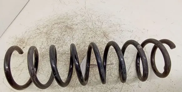 Rear coil spring