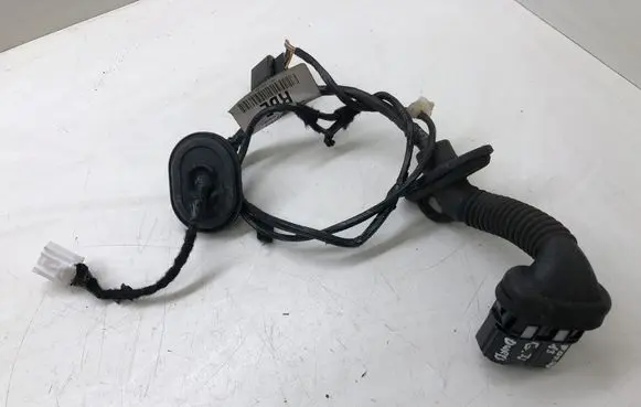 Rear door wiring loom
