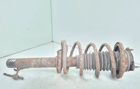 Ford Focus Front shock absorber with coil spring