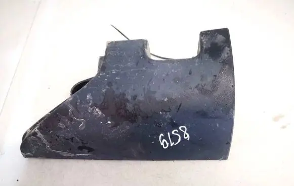 Rear/tail light trim molding