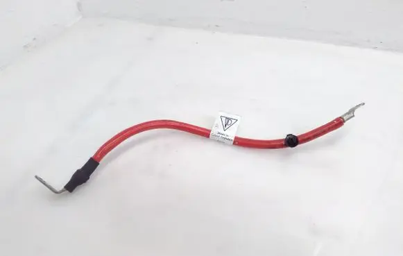Porsche Panamera (971) Positive cable (battery) 971971225