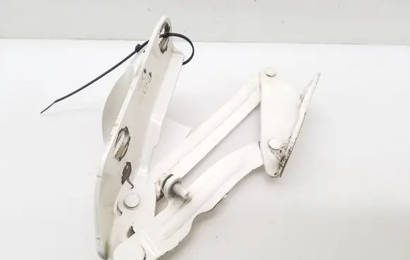 Volkswagen Crafter Engine bonnet/hood hinges 9067500021