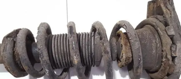 Nissan Primera Rear coil spring