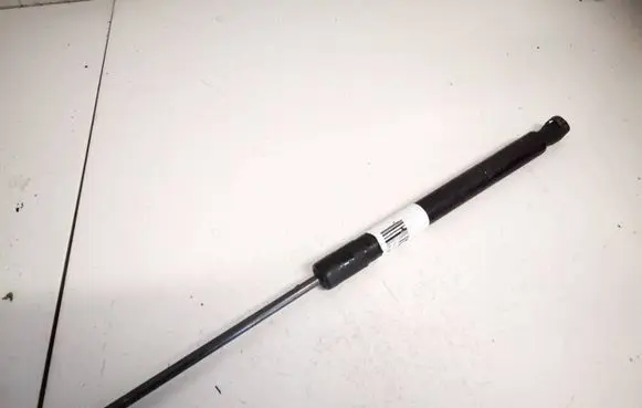 Tailgate/trunk strut/damper