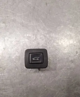 Opel Insignia A Tailgate/trunk/boot open switch 18362979