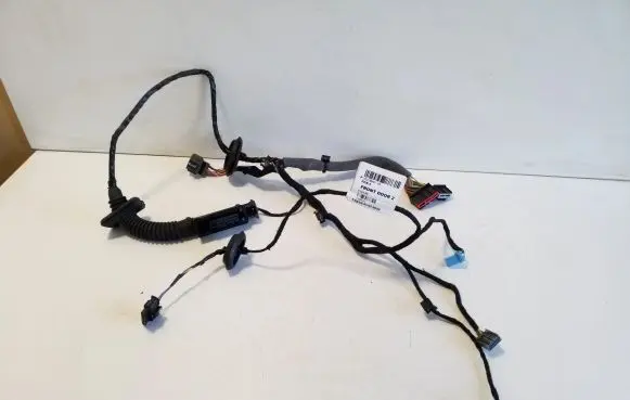 Front door wiring loom