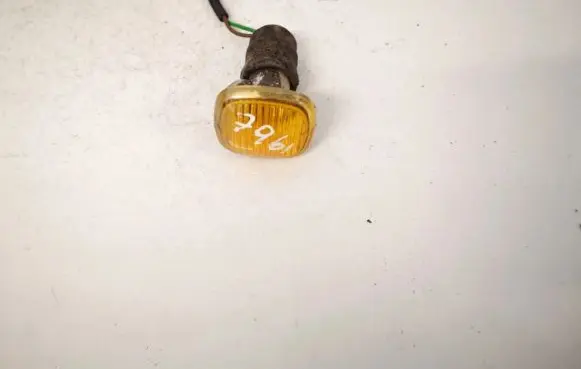 Front fender indicator light