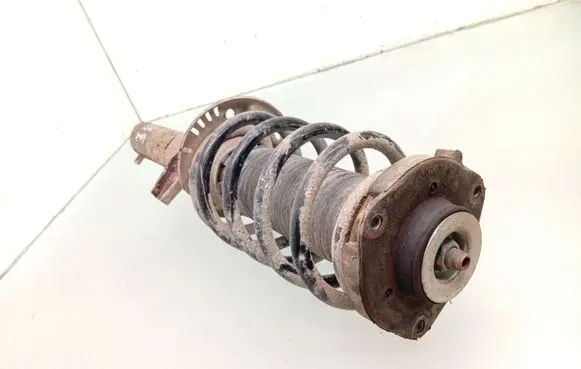 Front shock absorber with coil spring
